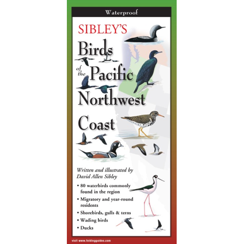 FoldingGuides™ - Sibley’s Birds of the Pacific Northwest Coast – Earth ...