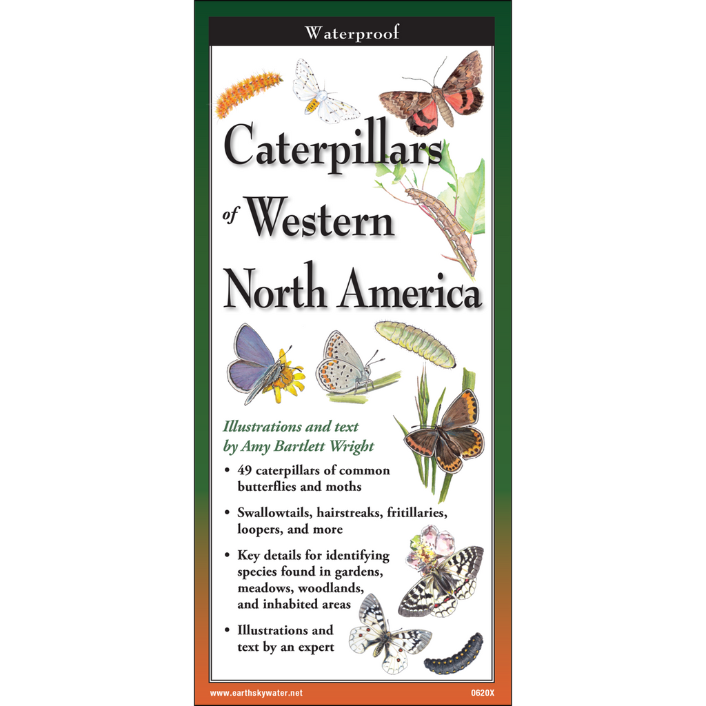 FoldingGuides™ Caterpillars of Western North America Earth Sky + Water