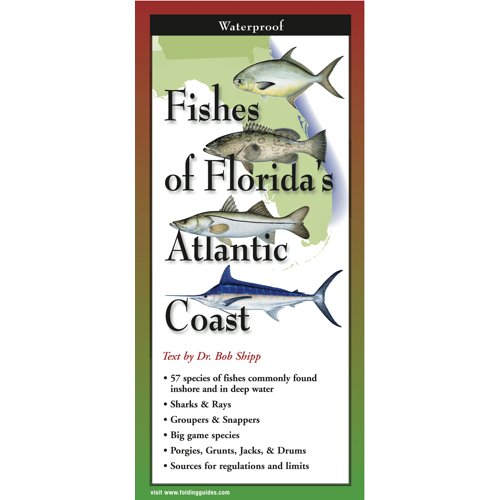 FoldingGuides™ - Fishes of Florida's Atlantic Coast – Earth Sky + Water