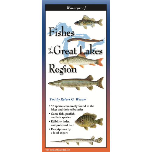 FoldingGuides™ - Fishes of the Great Lakes Region – Earth Sky + Water