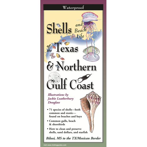 FoldingGuides™ - Shells and Beach Life of the Texas Gulf Coast – Earth ...