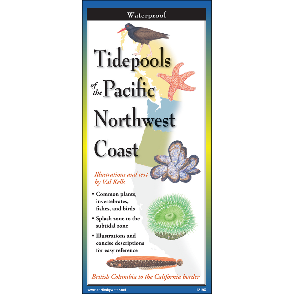 FoldingGuides™ - Tidepools of the Pacific Northwest Coast – Earth Sky ...