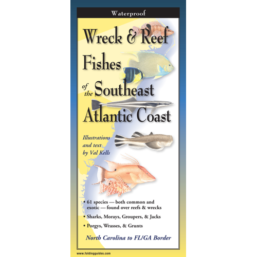 FoldingGuides™ - Wreck & Reef Fishes of the Southeast Atlantic Coast ...