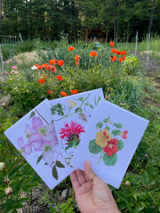 Gifts for Gardeners Who Have Everything: Nature-Inspired Ideas They Haven't Seen Before