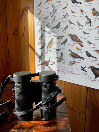 15 Best Gift Ideas for Birders: Thoughtful Picks for Every Budget and Skill Level