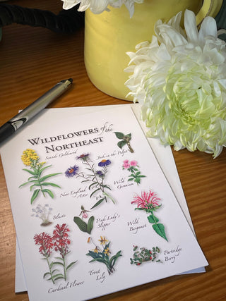 Gift Ideas for Plant Lovers Who Crave More Than Just Plants