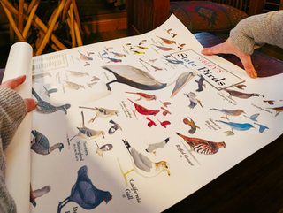 Gift Ideas for Wildlife Photographers Who Already Have All the Gear
