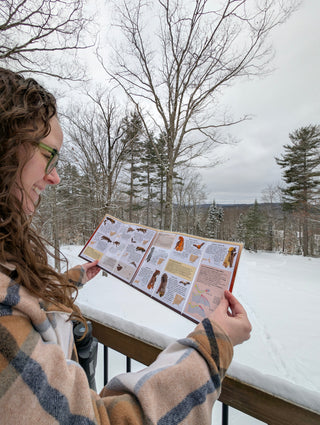 Gift Ideas for Conservationists Worth Giving Twice