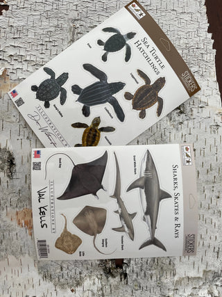 Stickers - Turtles & Reptiles