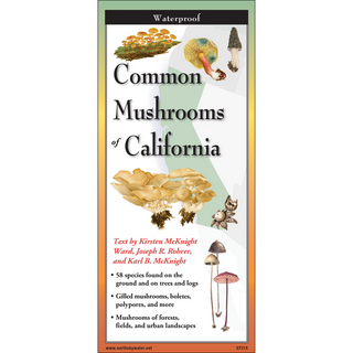 Common Mushrooms of California image 0