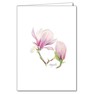 Magnolia image 0