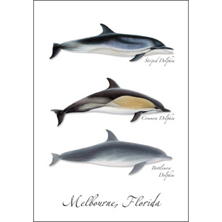 Three Dolphins image 0