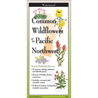 Common Wildflowers of the Pacific Northwest image 0