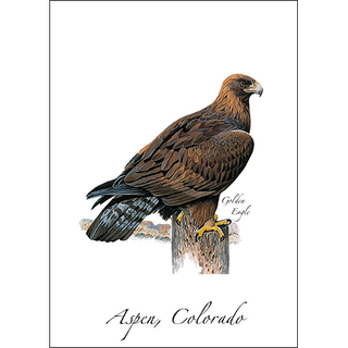 Golden Eagle image 0