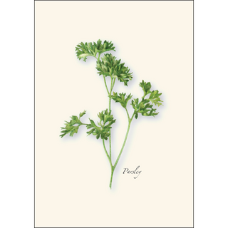 Herb Assortment image 1