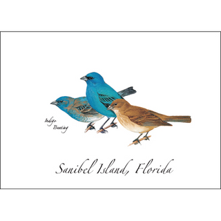 Indigo Bunting image 0
