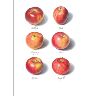 Apples II image 0