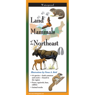 Land Mammals of the Northeast image 0