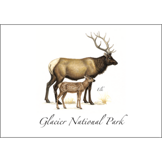 Elk image 0