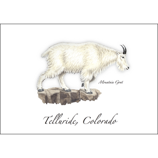 Mountain Goat image 0