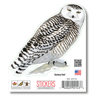 Snowy Owl image 1