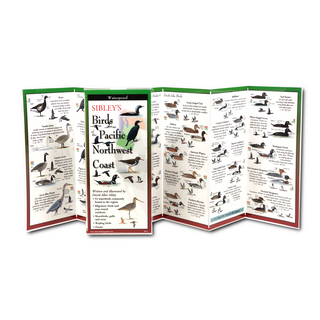 Sibley’s Birds of the Pacific Northwest Coast image 1