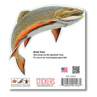 Brook Trout image 1