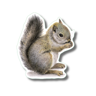 Gray Squirrel I image 0