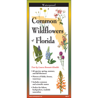 Common Wildflowers of Florida image 0