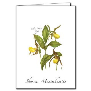 Yellow Lady's Slipper image 0