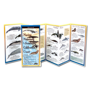 Marine Mammals of the Southern California Coast image 1