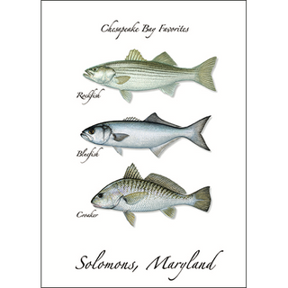 Chesapeake Bay Favorites image 0