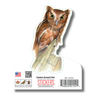 Eastern Screech Owl image 1