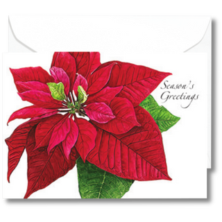 Poinsettia<br>(namedrop unavailable) image 0
