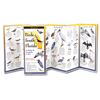 Birds of South Florida image 1