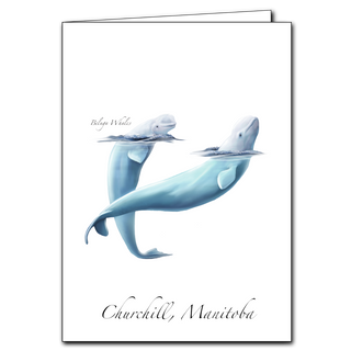 Beluga Whale image 0