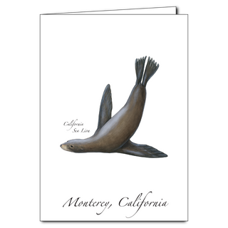 California Sea Lion image 0