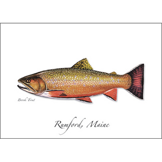 Brook Trout image 0