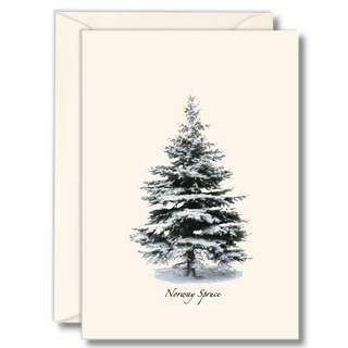 Winter Spruce image 0