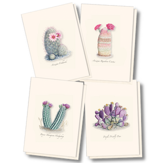 Cacti Assortment I image 0