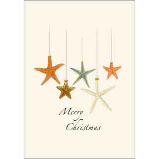 Beachcomber Christmas Assortment image 2