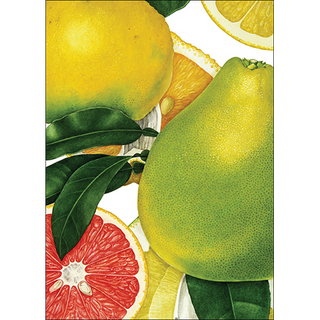 Grapefruit & Ugli<br>(namedrop unavailable) image 0