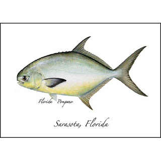 Pompano image 0