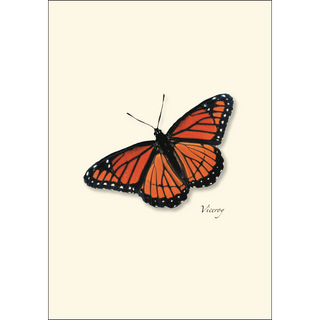 Butterfly Assortment II image 3