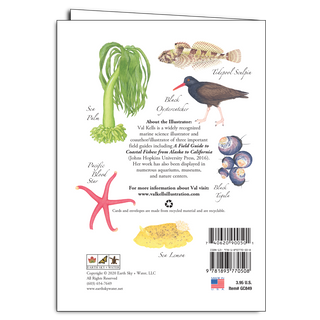 Tidepools of the Pacific - Regional Card image 1