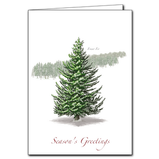 Frasier Fir image 0