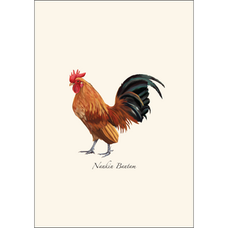 Chicken Assortment image 2
