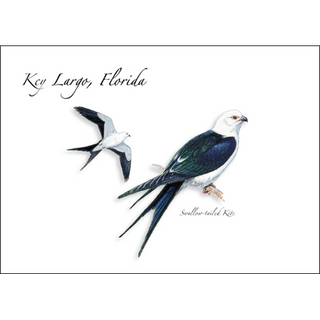 Swallow-tailed Kite image 0