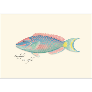 Reef Fish Assortment image 1