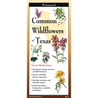 Common Wildflowers of Texas image 0